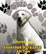 game pic for Mobidogs Labrador  multilanguage